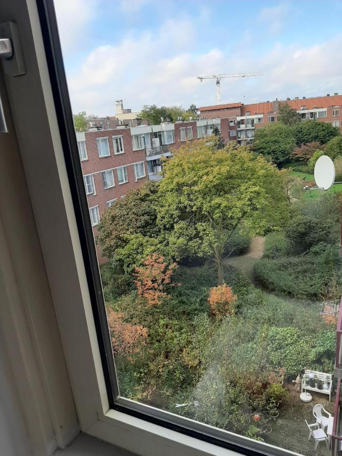 El Camino B&B Amsterdam Exteriör bild